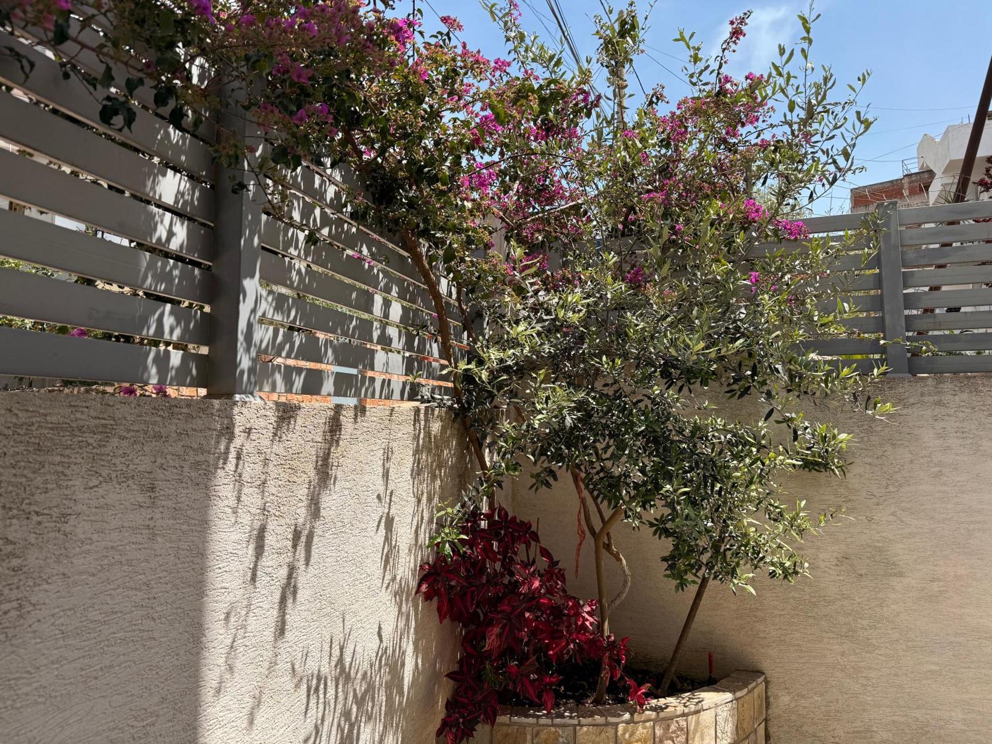Apartments & Studios Ardian-Mandi Sarande-Albania Екстериор снимка