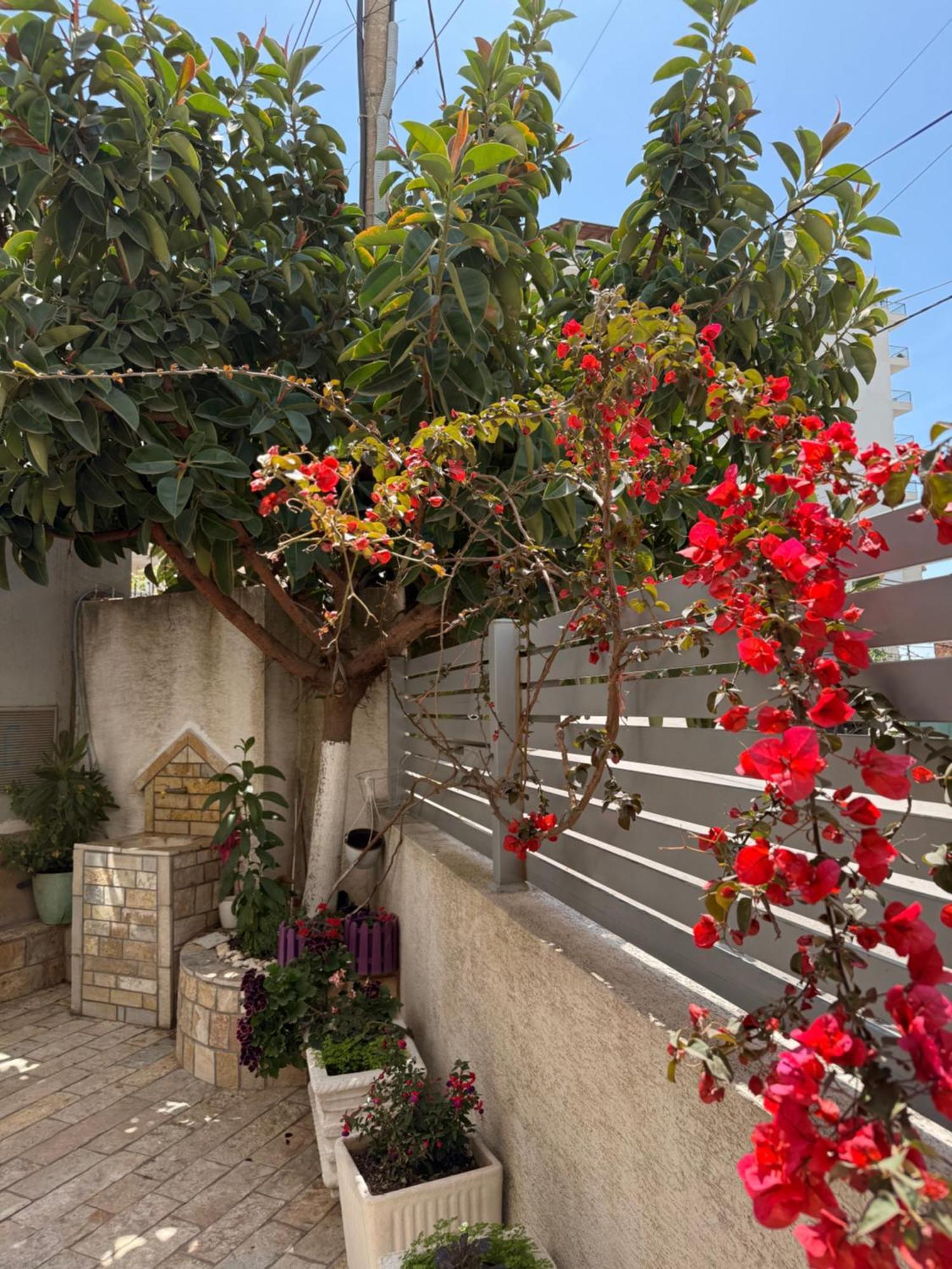 Apartments & Studios Ardian-Mandi Sarande-Albania Екстериор снимка