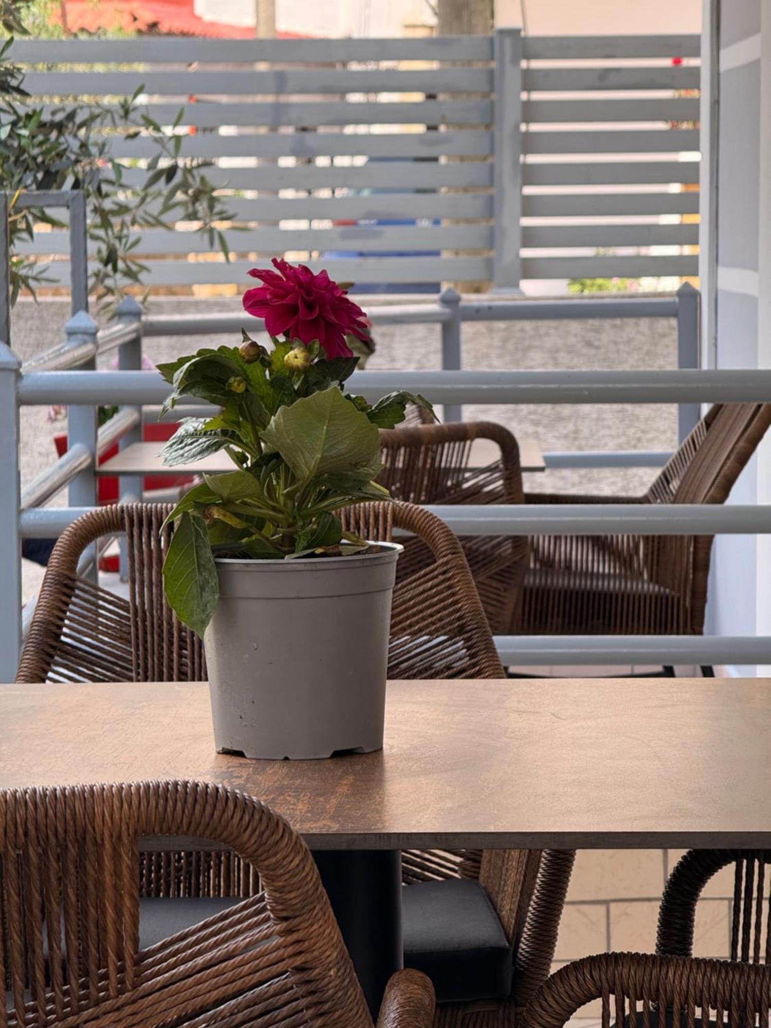 Apartments & Studios Ardian-Mandi Sarande-Albania Екстериор снимка
